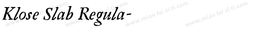 Klose Slab Regula字体转换
